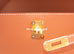 Hermes Mini Kelly Pochette Gold Swift