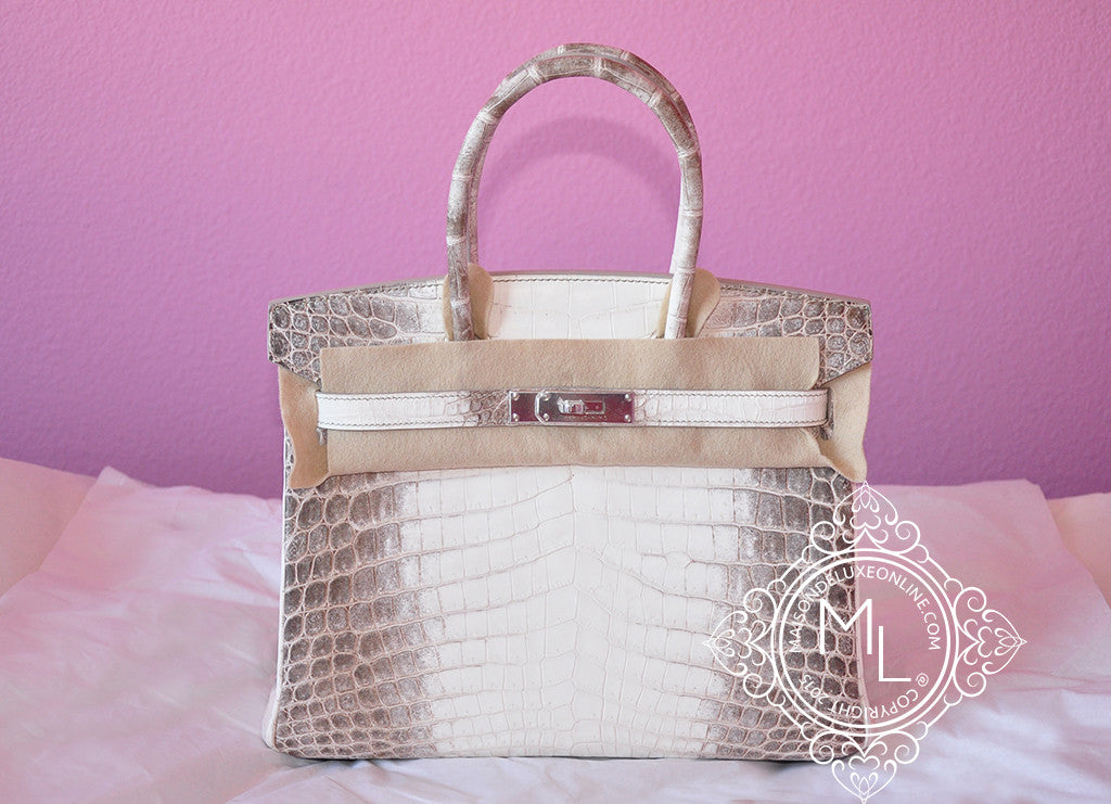 Himalaya Birkin Bag: Everything You Need to Know About it 