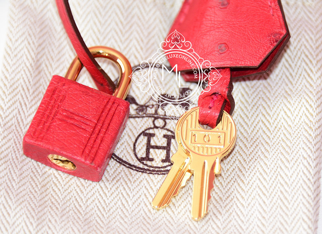 Hermès Kelly 25 Rouge Vif Ostrich Gold Hardware GHW — The French Hunter