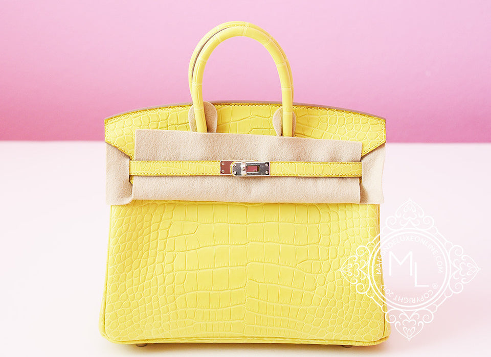 Hermes Birkin 25cm Ostrich - Terre Cuite with Brushed Gold